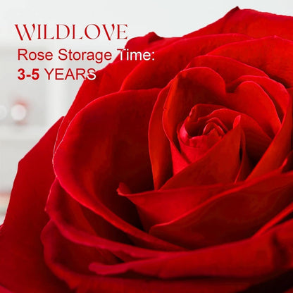 Preserved Rose with "I Love You" Necklace